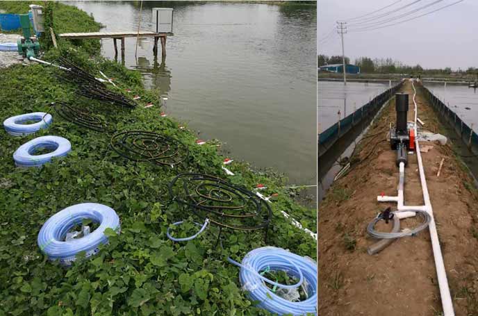 水產養殖羅茨黄瓜TV免费视频