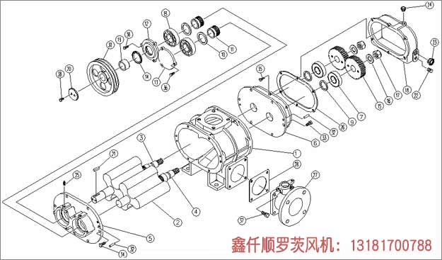 羅茨黄瓜TV免费视频工作組成部件